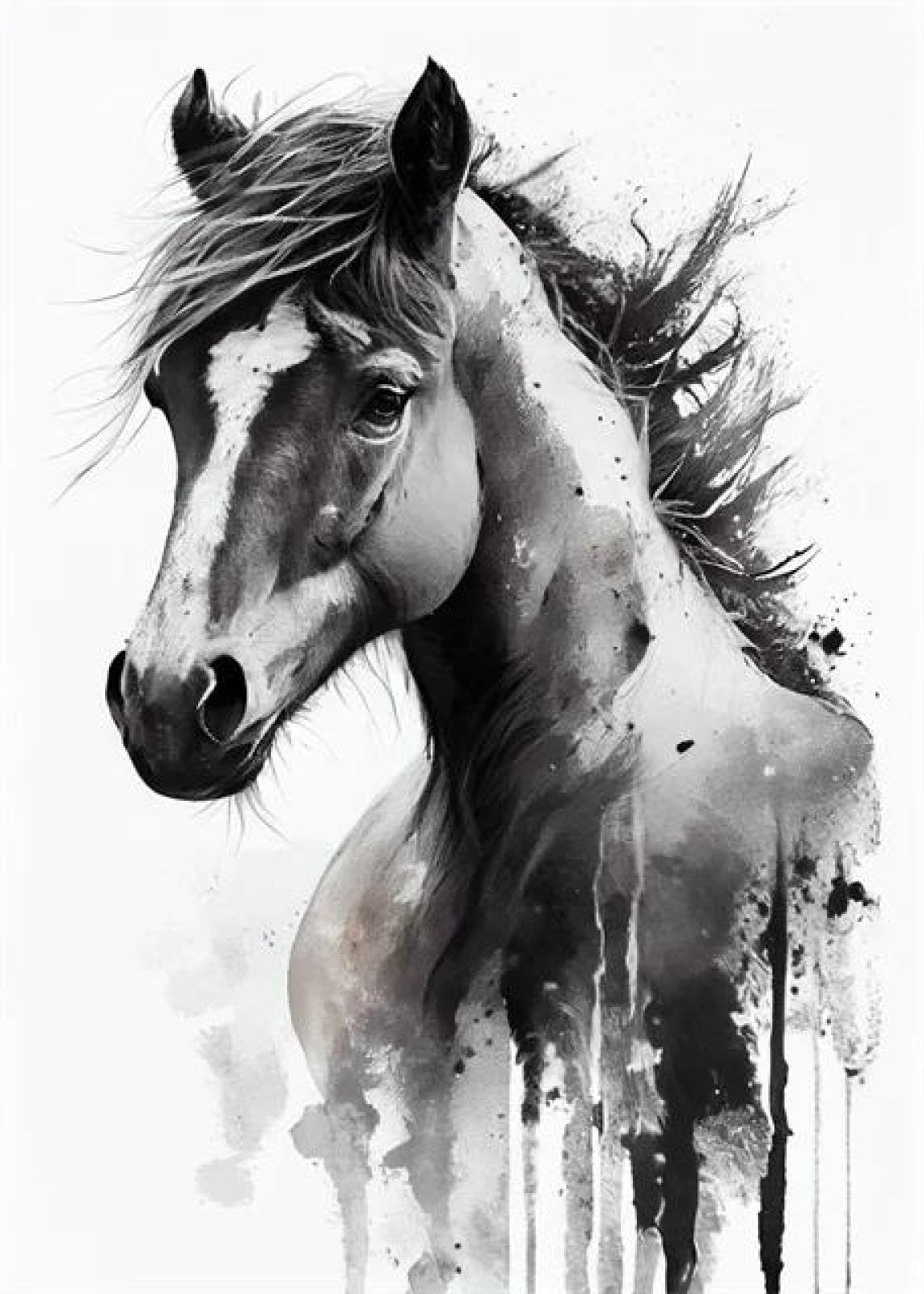 SHINERING Abstract Watercolor Horse Animal Canvas Painting Posters Print Wall Art Picture Living Room Decor A4 50X70Cm Unframed