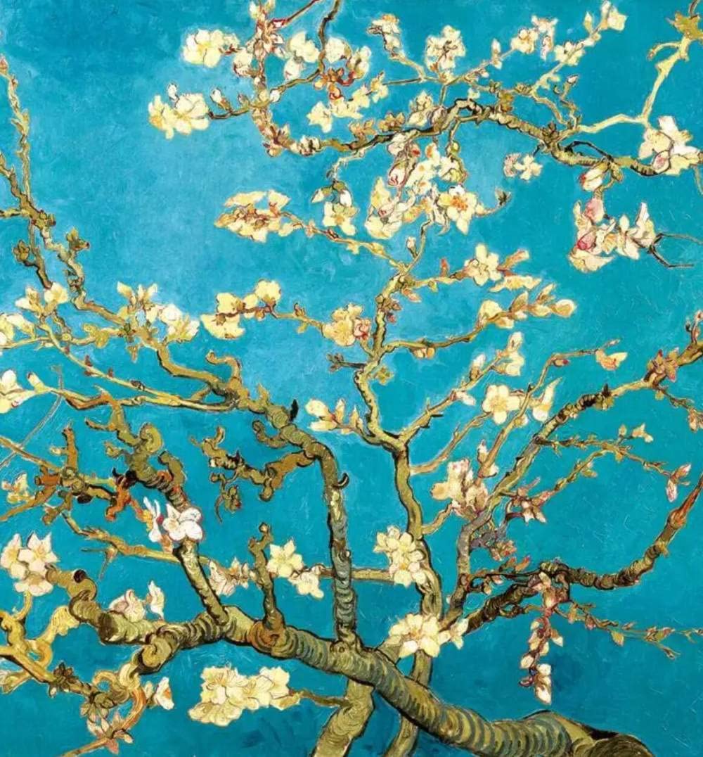 Peinture Van Gogh Amandier en fleurs pour décoration murale salon