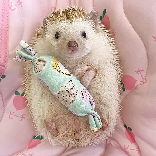 Miniatura 7 de Ymid Select 4 mini almohadas de erizo para animales pequeños, decoración de hábitat, accesorios de jaula, suministros de erizo, accesorios para