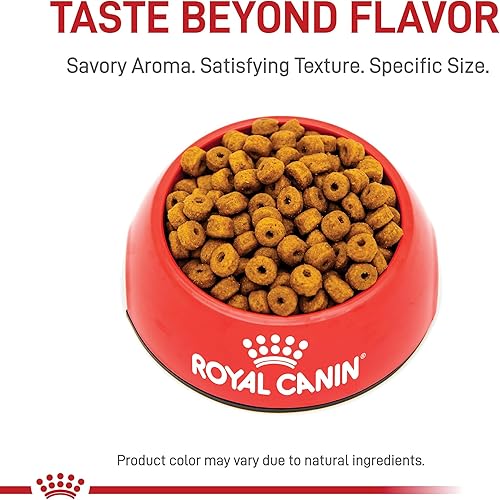 Miniatura 2 de Royal Canin Siamese raza adulto seco alimento para gatos, 6 lb.