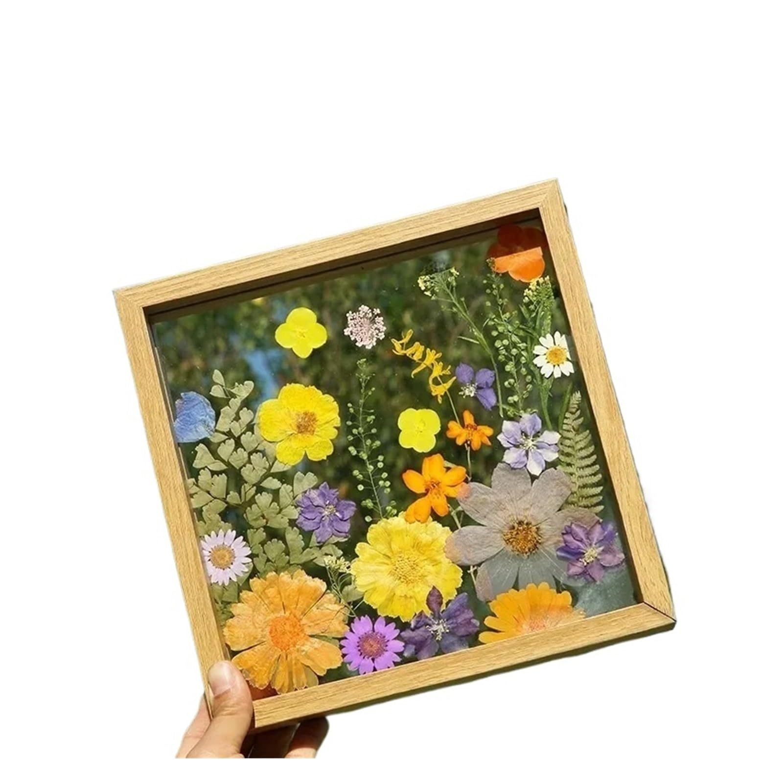 Double Sided Embossed Photo Frame Transparent Glass Handmade DIY Material Dried Plant Leaf Specimen Painting(1PCS)