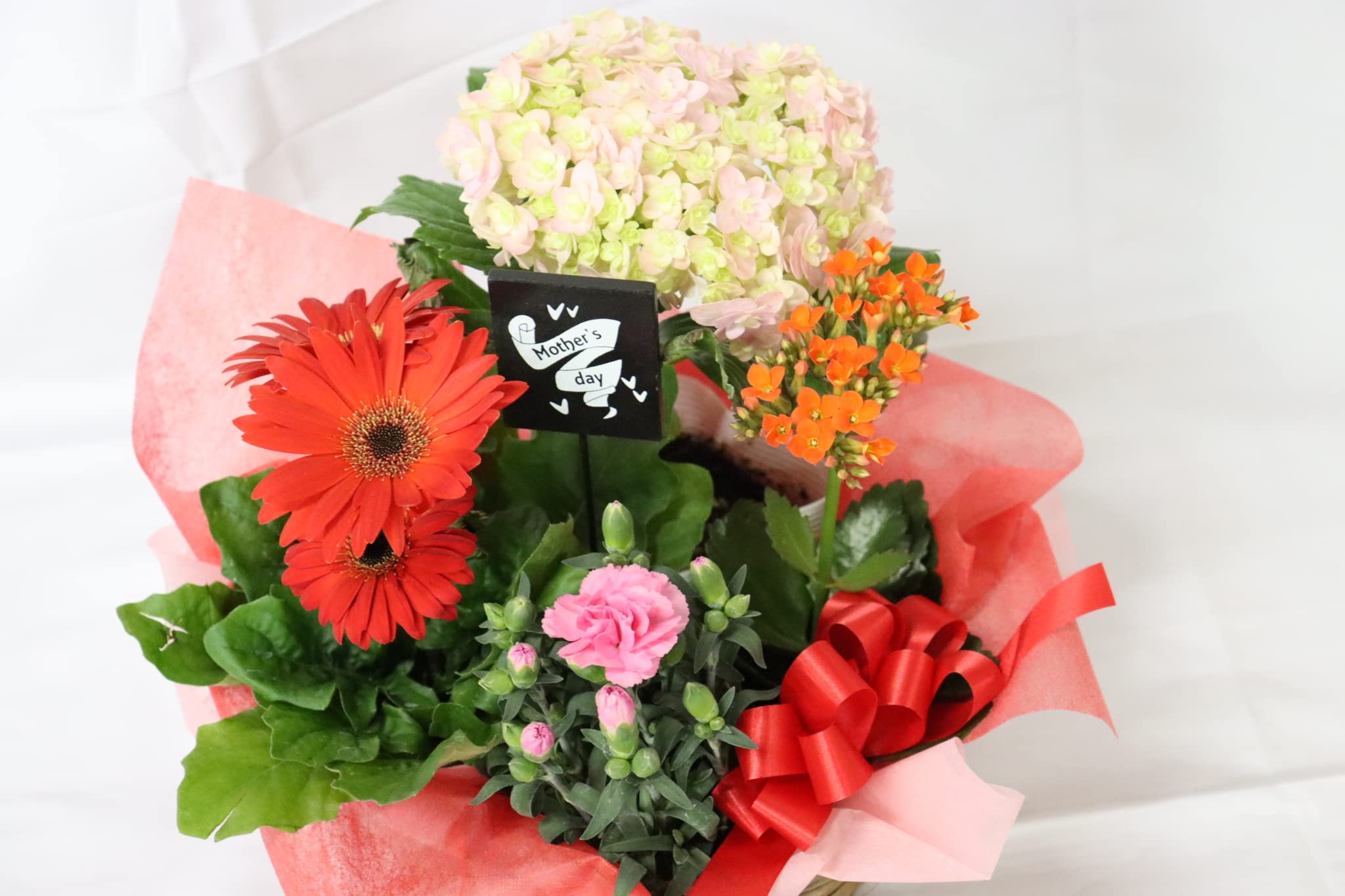 Amazon｜PURIZA 季節の鉢植え 寄せ植え 寄せ鉢 鉢花をかごにおまかせ