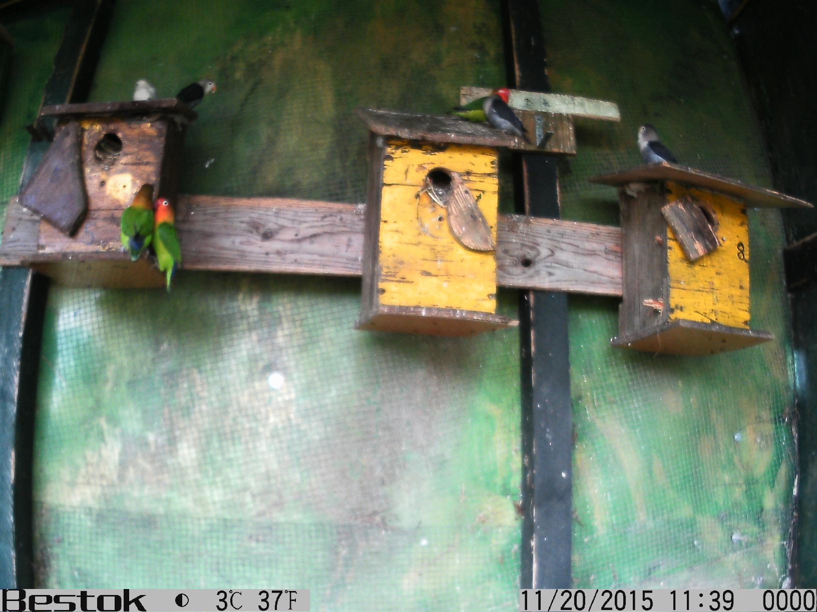 Immagine del cliente