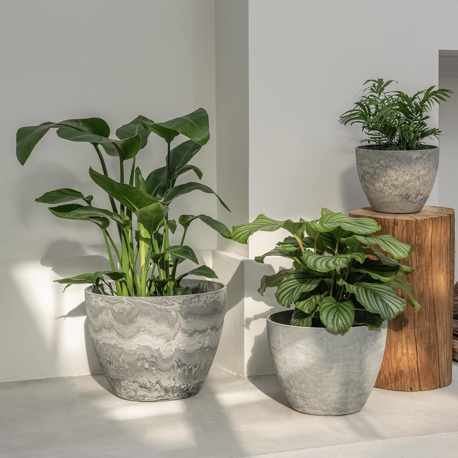 LA JOLIE MUSE Outdoor Planters Pots for Plants Set of 3 - Tree Flower Plant Pots, Plant Container with Drain Holes, 14.2+11.3+8.6 Inches, Marble Pattern : Patio, Lawn & Garden