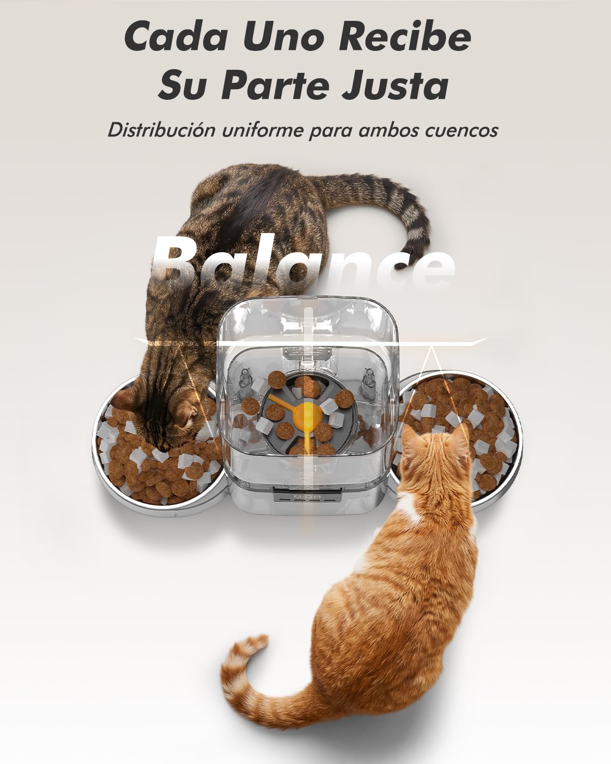 Comedero Gato Automatico 2 Tazones para Gatos y Perros | 8L, 2 Cuencos de Acero Inoxidable, para Pienso Seco 2-18mm, Hasta 50 Porciones y 6 Comidas al Día, Grabación 10s, Fresco