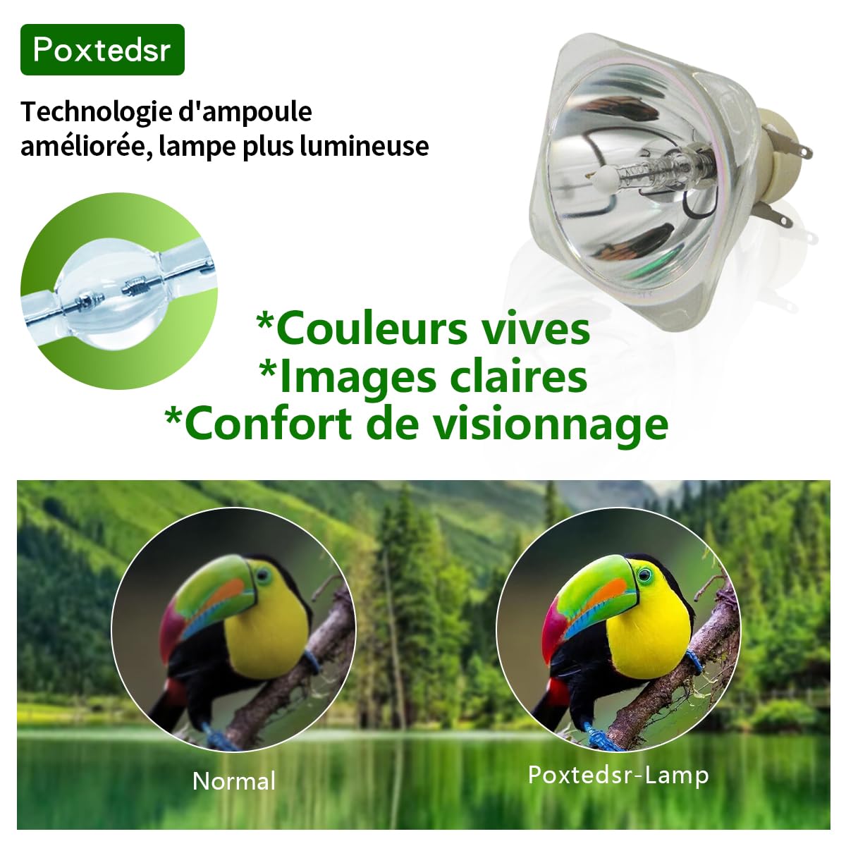 P-VIP 0.8 E20.9 Lampe de remplacement pour projecteur compatible BENQ TX538 EP5920