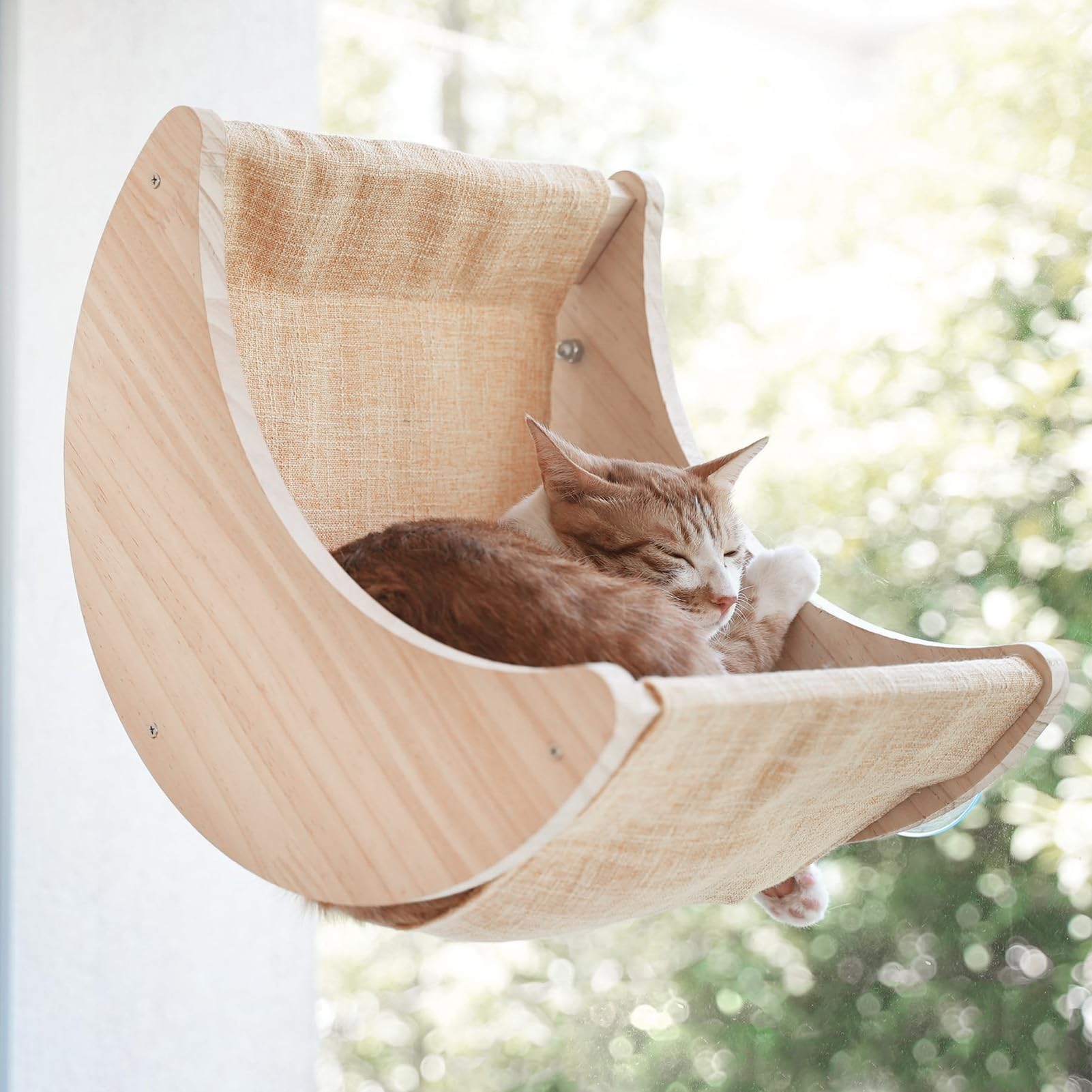 Swing Shaped Cat Window Bed, Pine Wood, Shelves Mounted Strong with Suction Cups, Removable Washable - Image 2