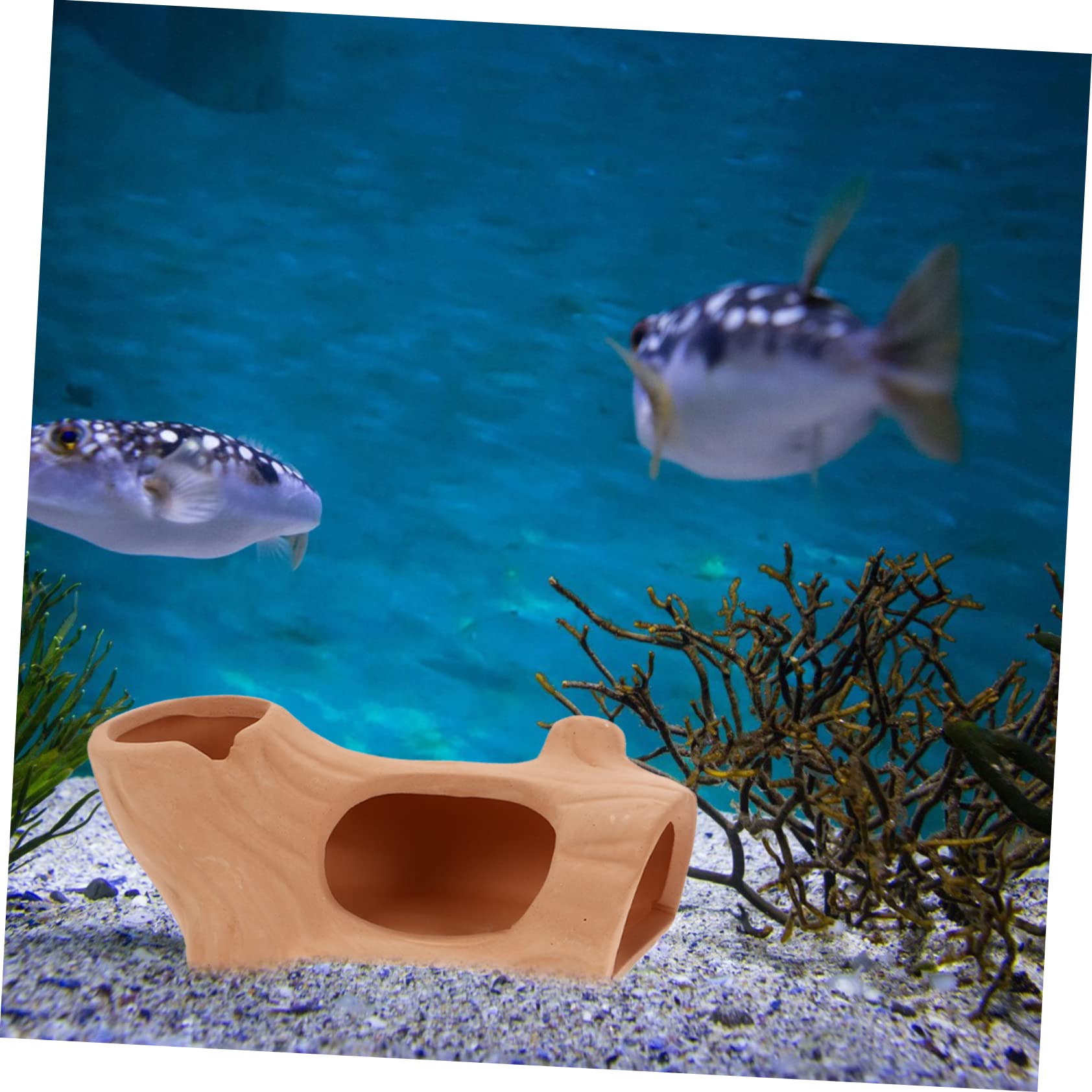 Toddmomy 6stücke Aquarium Versteck Höhle Keramische Dekoration Für Fische Und Garnelen Für Zucht Rückzugsort Im Wasserbecken Langlebig Und Attraktiv