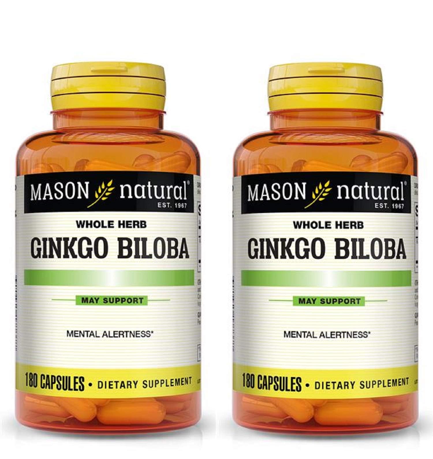 Mason Vitamins Ginkgo Biloba 500 mg 180 Gelatin Capsules per Bottle, Pack of 2 Bottles Total 360 Capsules