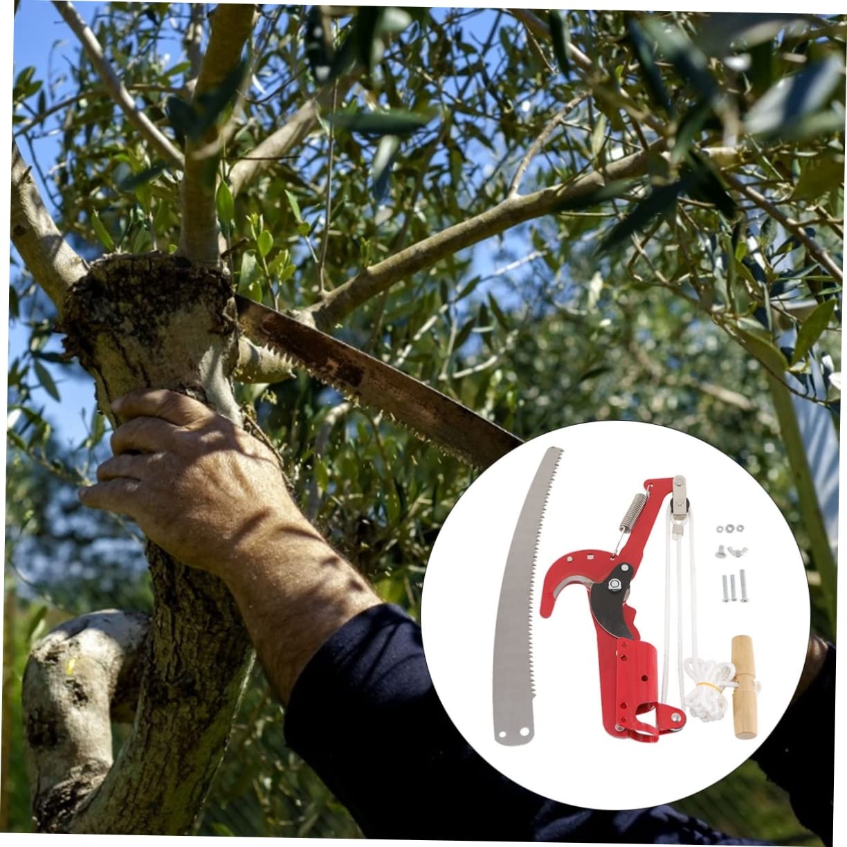 Astschere aus Stahl mit Verstärktem Nylonseil und Komfortablen Griffen für Obstbäume im Garten Robuste Gartenschere für Kleine Bäume und Obstgärten Zufällige Farbe