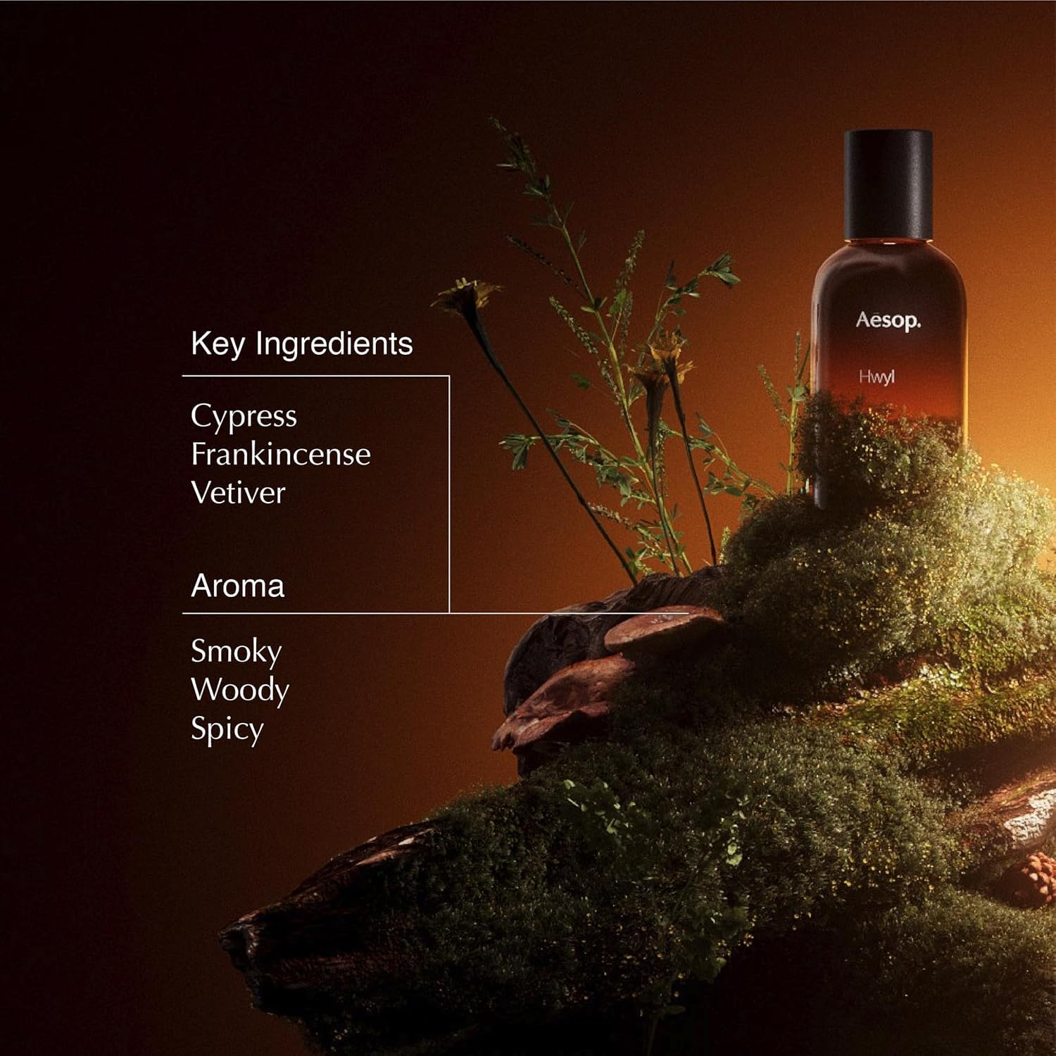 Amazon.com : Aesop Hwyl Eau de Parfum | Smoky, Woody, and Vetiver
