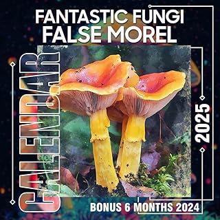 Fantastic Fungi False Morel Calendar 2025: 18 Months of Nature's Oddities July 2024 to December 2025 Organize with a Large-Sized Highlighting the Fascination of Fungi Ideal Gifts