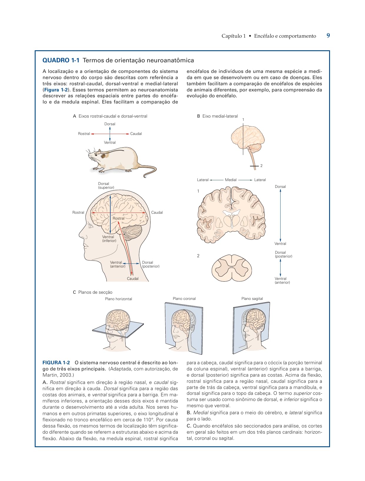 PRINCÍPIOS DE NEUROCIÊNCIAS