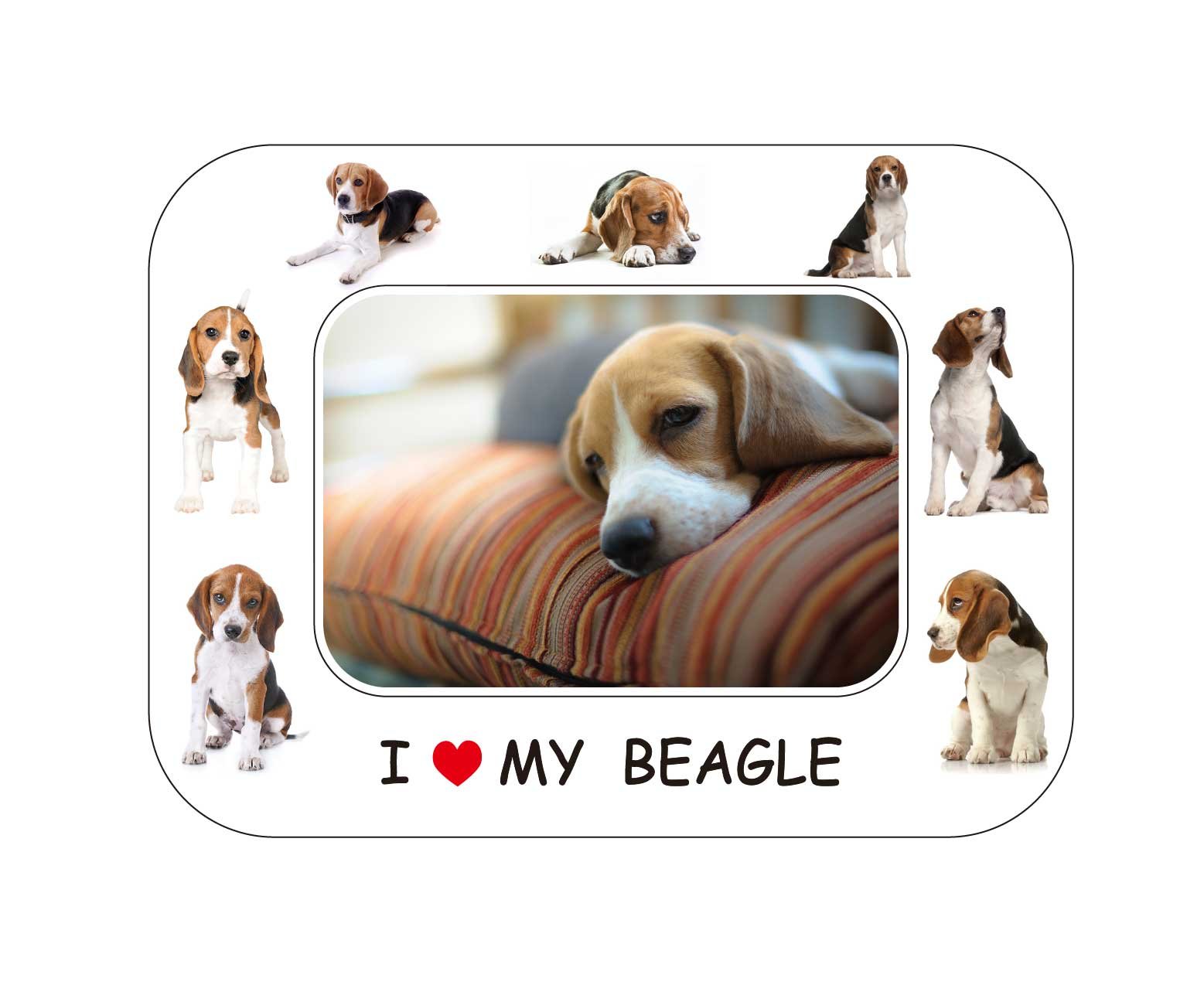 Fridge Magnet White Beagle Hound Gift - Beautiful 8" X 6" Magnetic Photo Frame/Flexible