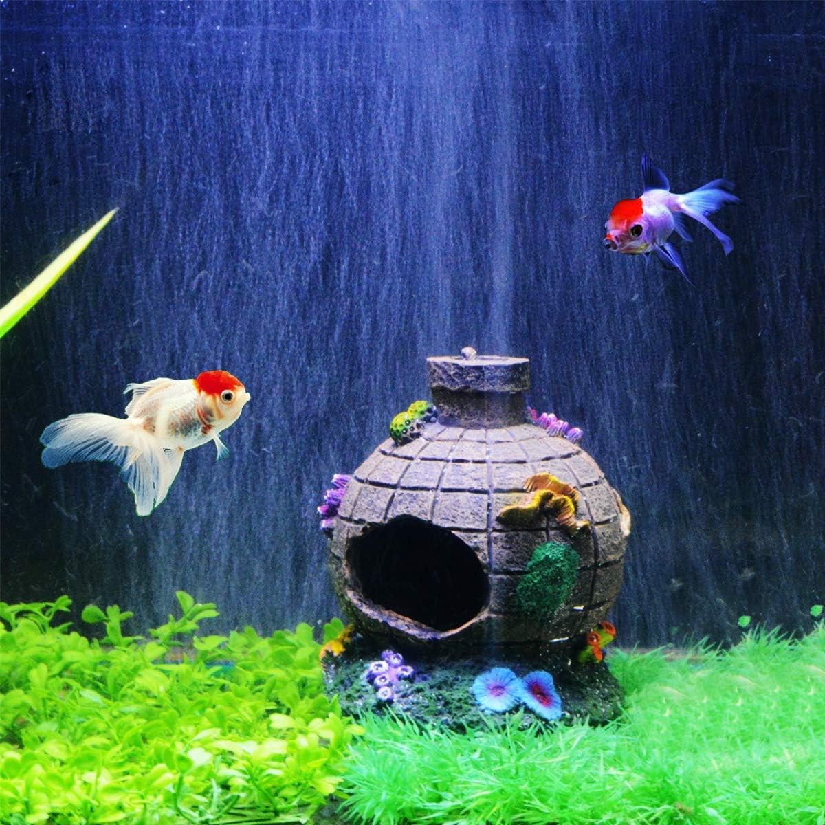 Photo inspiration: Fresh Look at Uotyle Pleco Cave Aquarium Decorations Fish Tank Cave Breeding Cones