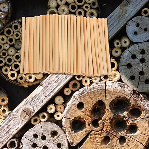 Miniatura 6 de GANAZONO 500 tubos de nido de abeja para nido de abeja, tubos de repuesto para casa de abejas, tubos de repuesto reemplazables para abejas, tubos de