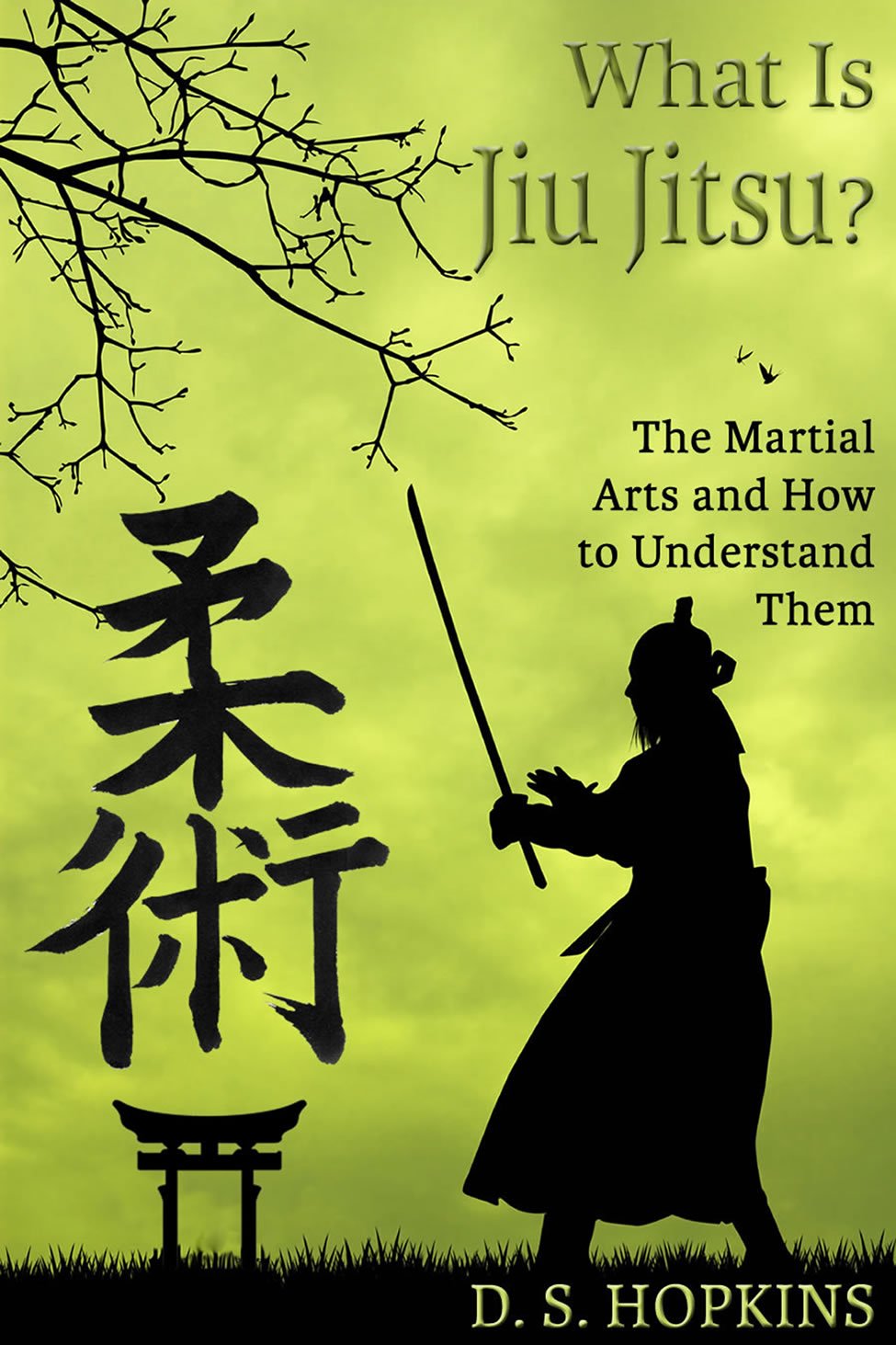 What Is Jiu Jitsu?: The Martial Arts And How To Understand Them