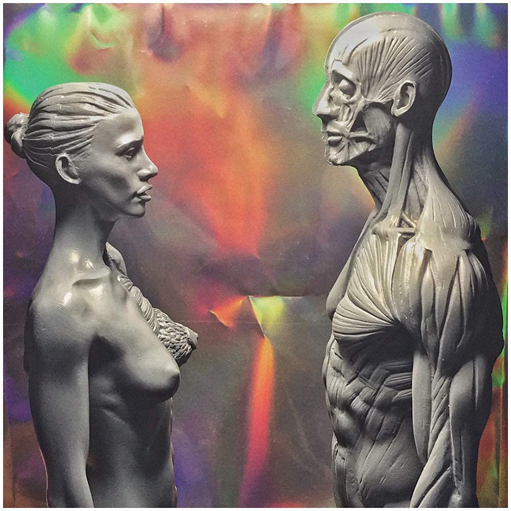 Modello Anatomico Figura Anatomica Femminile E Maschile - Modello di Figura Anatomica del Corpo Umano da 11 Pollici - Scultura di Scheletro Muscolare Umano