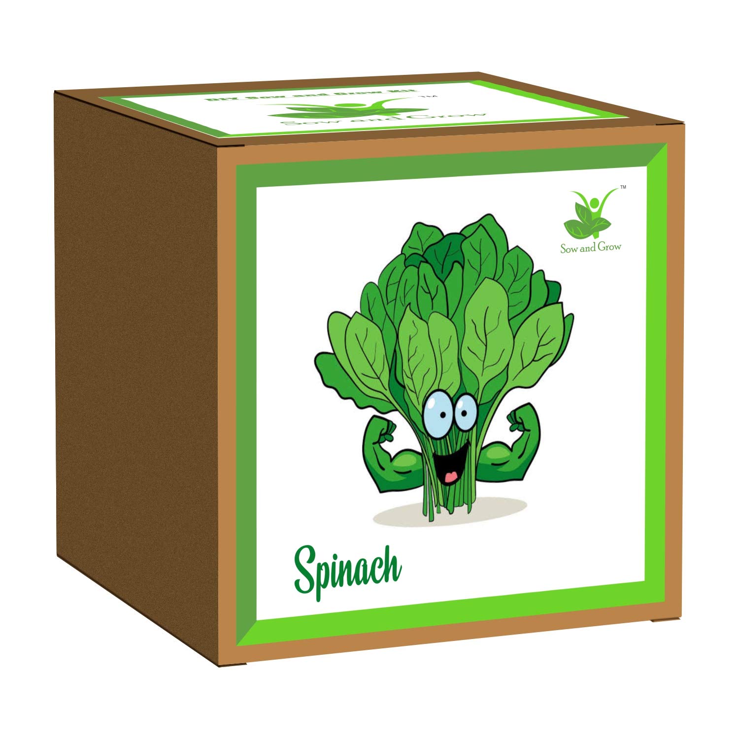 DIY Easy Gardening Kit of Spinach for Home and Garden (Grow it Yourself) Best Eco Friendly Kids Birthday Return Gift