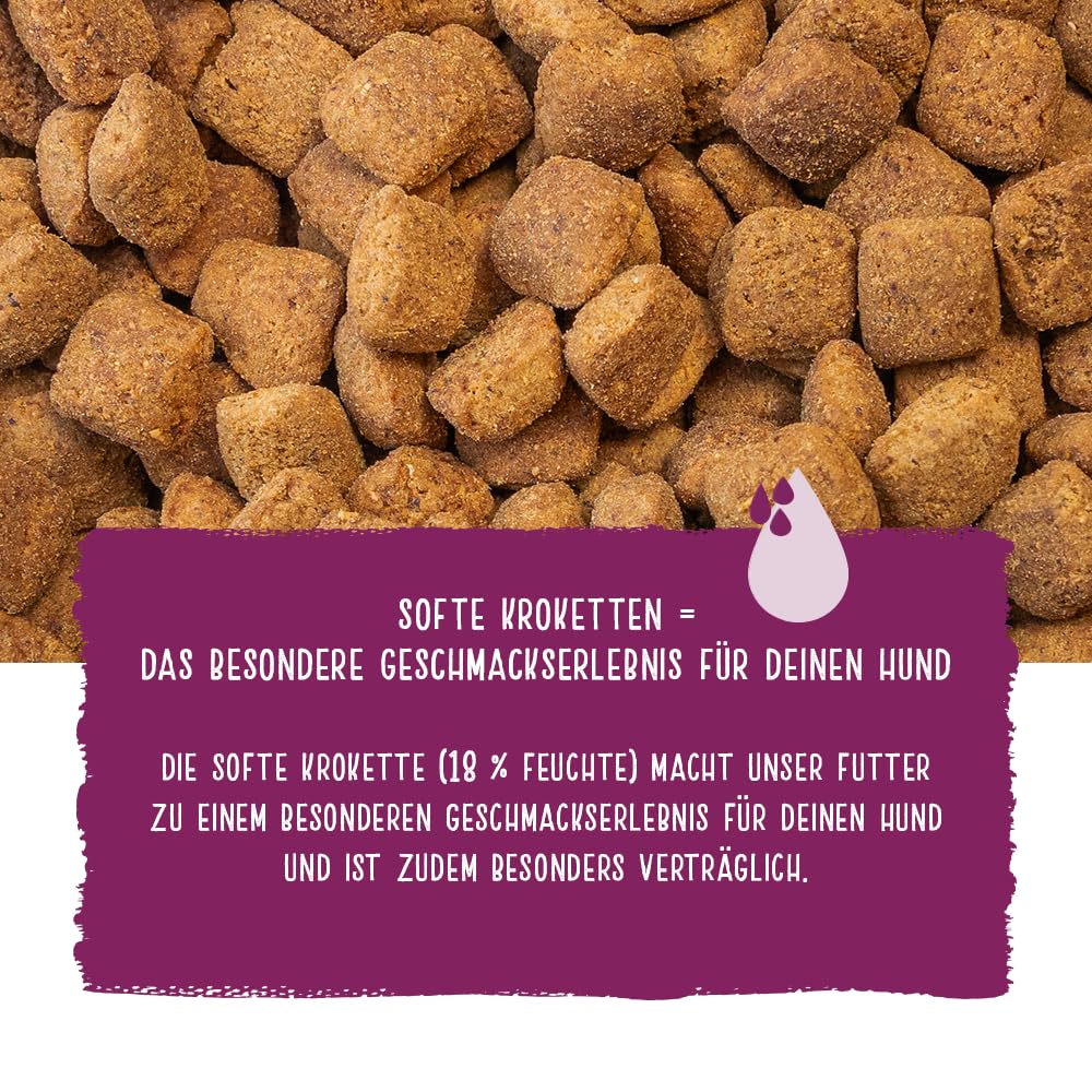Chicopee HNL Soft Senior Goat & Potato sucha karma dla psów, 12 kg, od Bosch | karma dla psów | kanadyjska receptura | Made in Germany | marka Bosch karma dla zwierząt