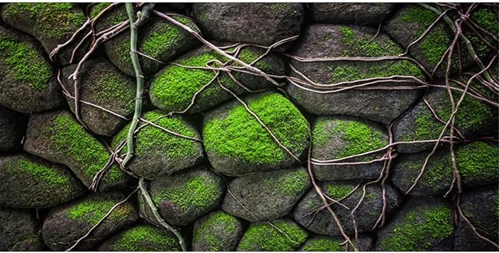 AWERT 48x18 inches Stone Aquarium Background Rock Fish Tank Background Rocky Terrarium Background Vinyl