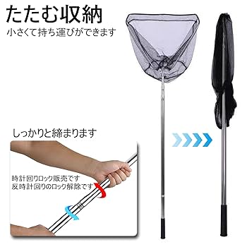 タモ猫 シャムミックス猫さん @tobineko_0 #猫 #cat #シャムトラ