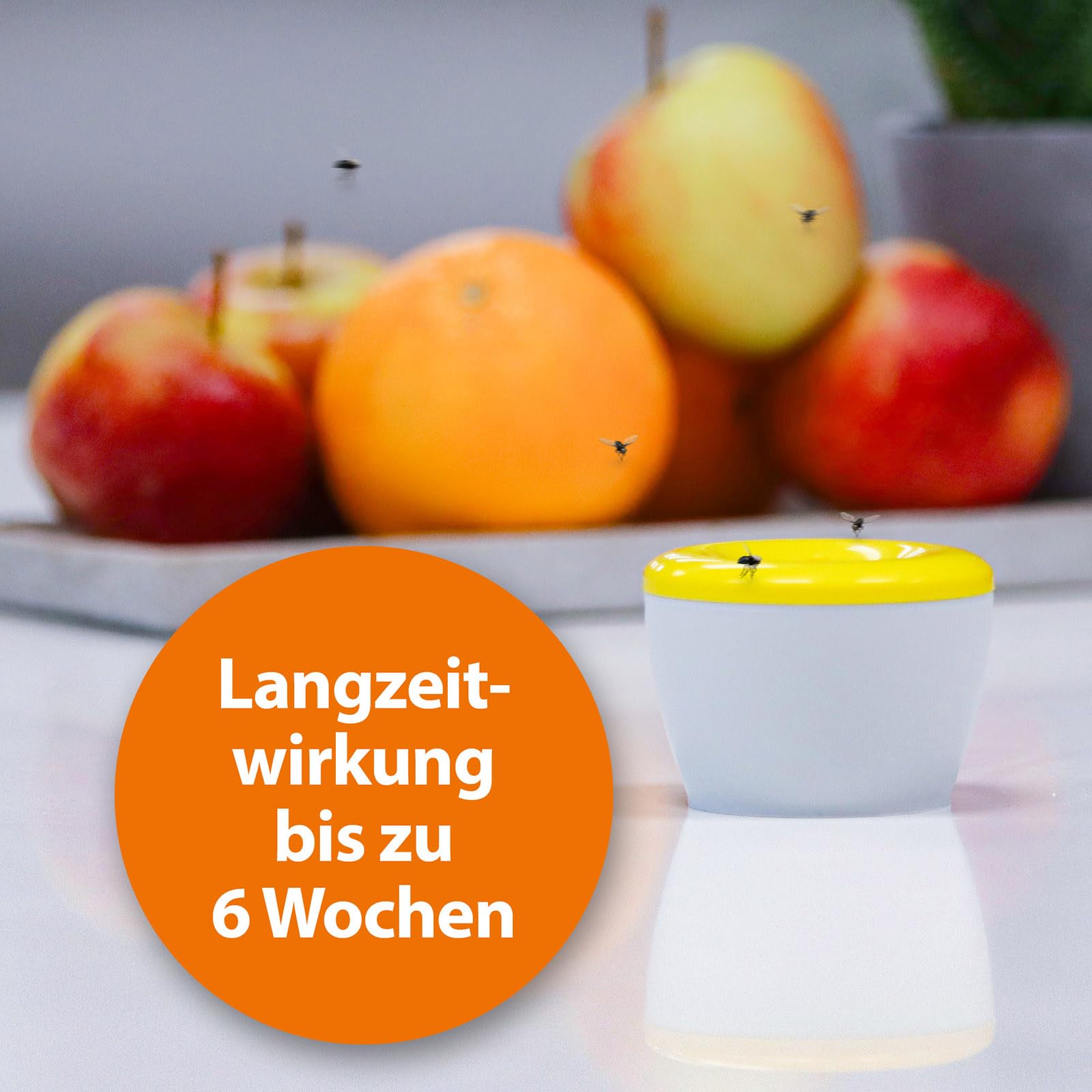ARDAP Fruchtfliegenfalle 3er Pack - Obstfliegenfalle zur Reduktion von Fruchtfliegen & Essigfliegen - Hochwirksamer Lockstoff - Fruchtfliegenfalle für Küche & Co. (PT 19)
