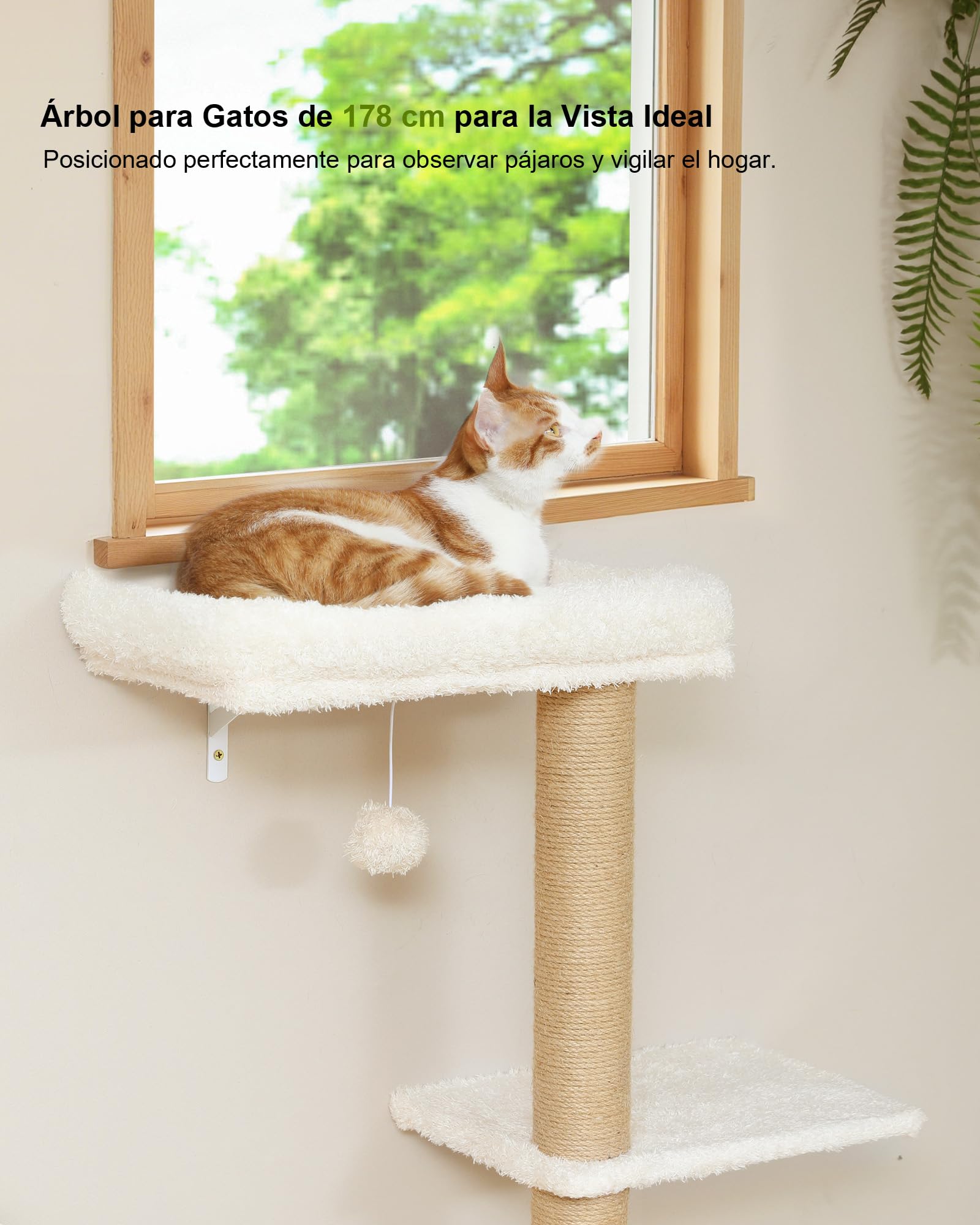 FUKUMARU Rocódromo para Gatos, 178 cm de Altura, Robusto Conjunto 3 en 1 de Madera Maciza Multicapa, con rascador y 2 estantes de Pared, Pared para trepar Que Ahorra Espacio, Beige