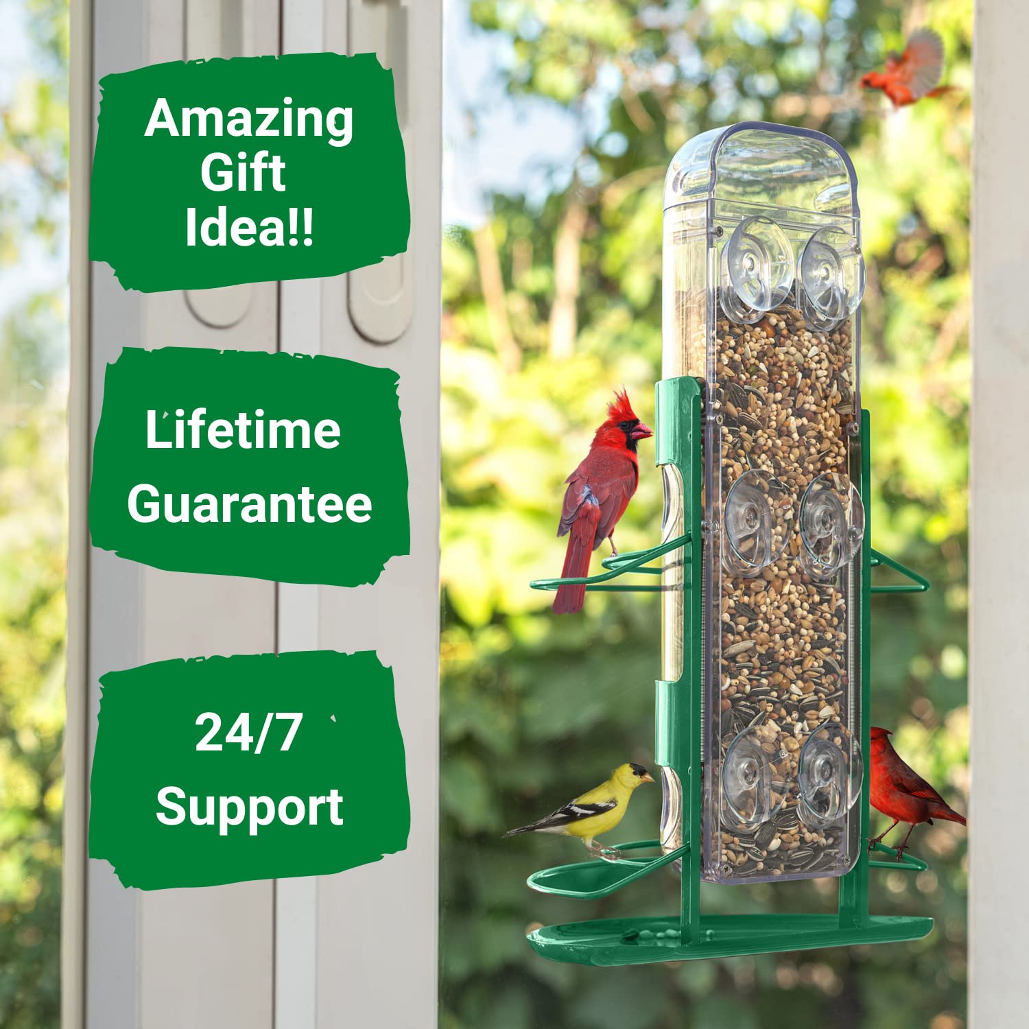 Nature Anywhere, Eichhörnchen-Fenster-Futterstation für Vögel Sparen Sie Samen in Ihren Futterspendern, Füttern Sie nur Vögel! Premium-Qualität (Grün)