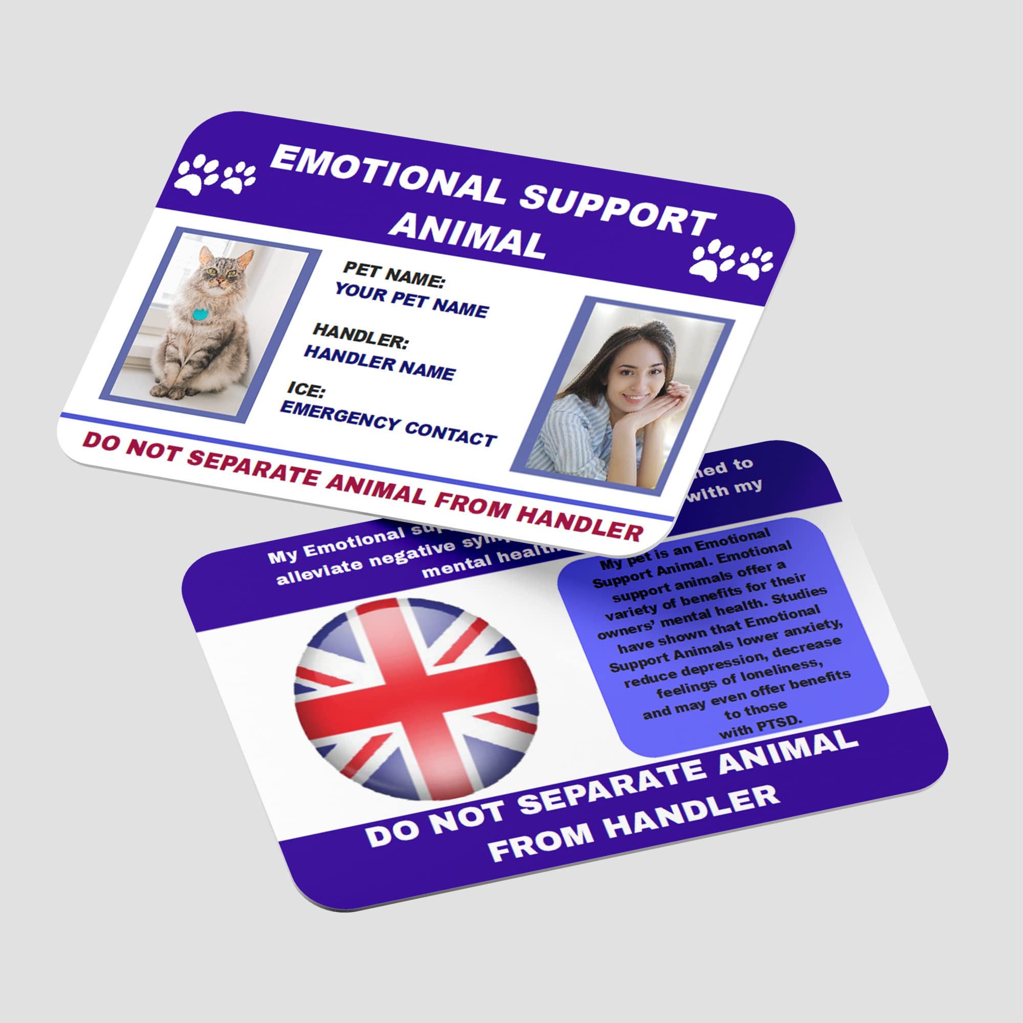 Therapy Pet ID AC4 with Lanyard and Cardholder