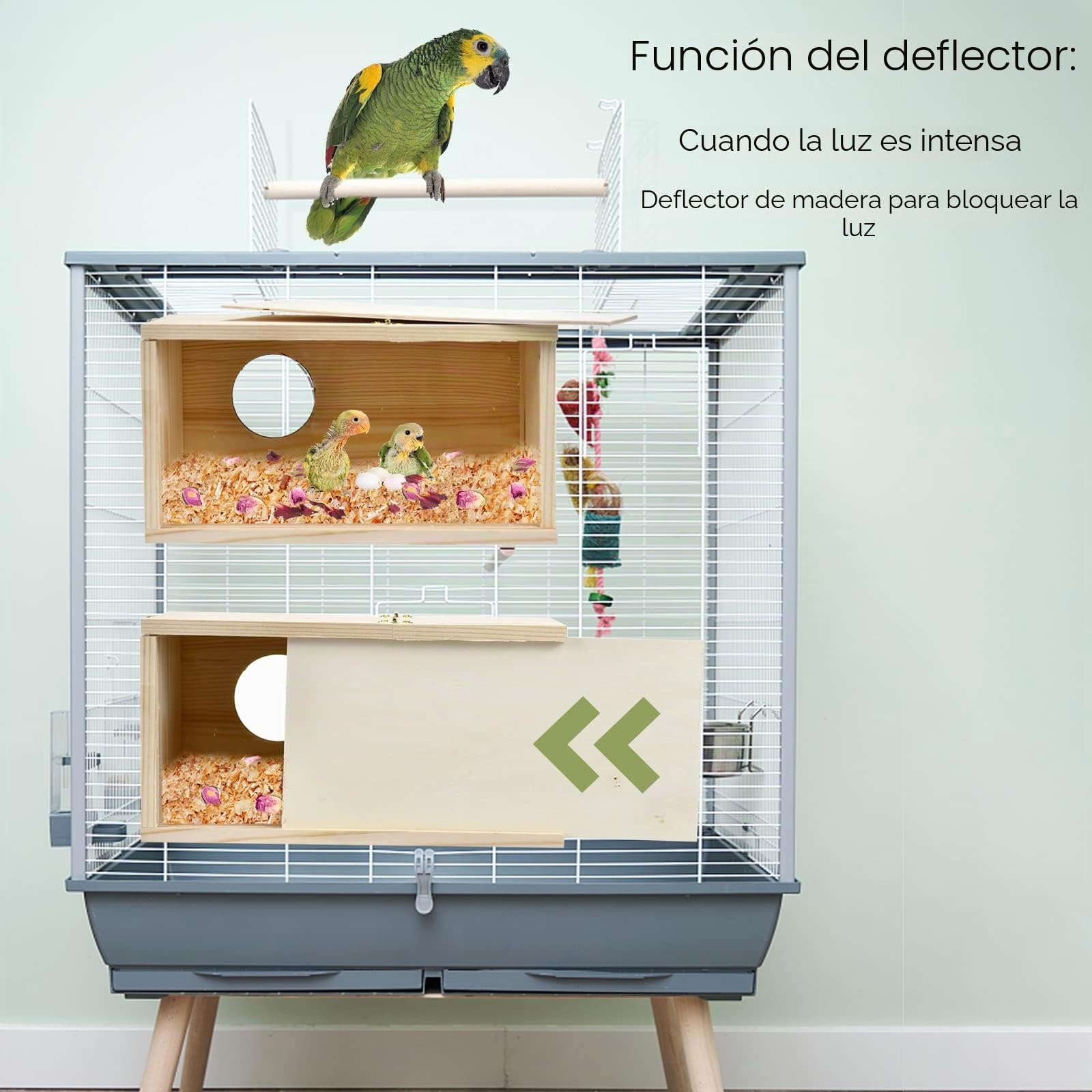 Caja de anidación para periquitos, Caja de cría de pájaros de Pino Natural, Caja de cría de pájaros, Caja de acrílico Transparente con Tablero de Madera Desmontable para tortolitos, cacatúa,