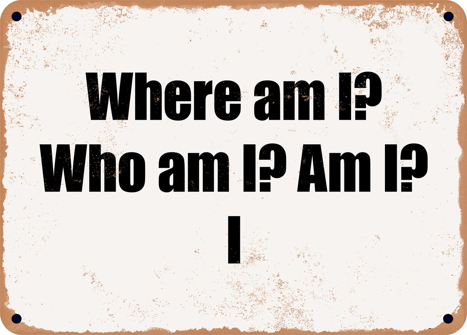 Miaomansenstore Metal Sign - Where Am I? Who Am I? Am I? I Home Decor