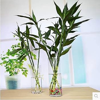 ZARA ガラス キャンドルスタンド　花瓶 クリスタルキャンドルスタンド | Zara Home 日本/Japan