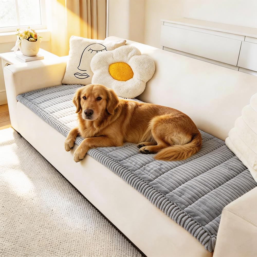 Amazon.com: Awjcsv Couch Cover for Dogs Washable, Fuzzy Pet Couch