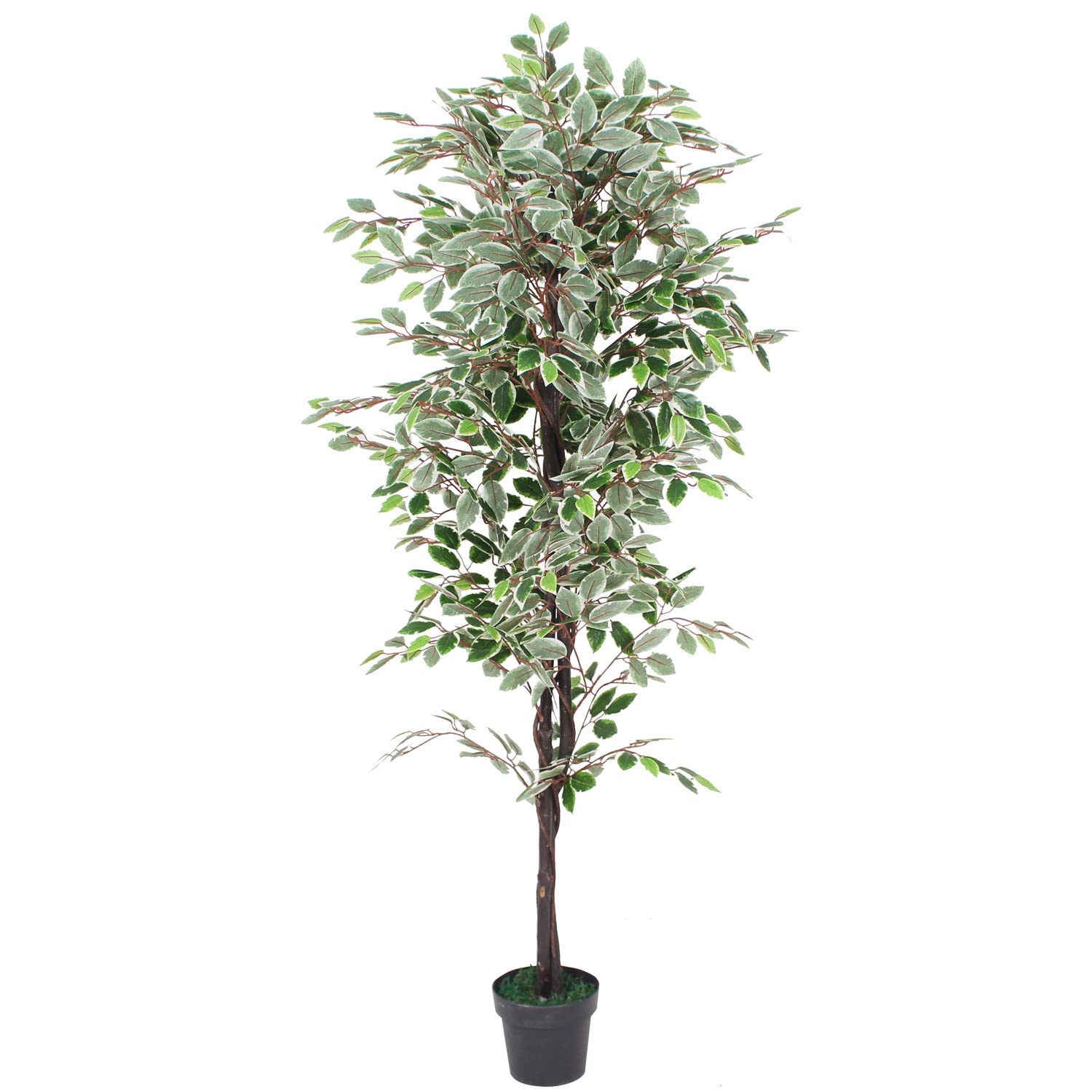 Decovego Sztuczna roślina Benjamin Ficus sztuczne drzewko w doniczce, tworzywo sztuczne, roślina pokojowa, jak prawdziwa dekoracja, dekoracja wewnętrzna 180 cm