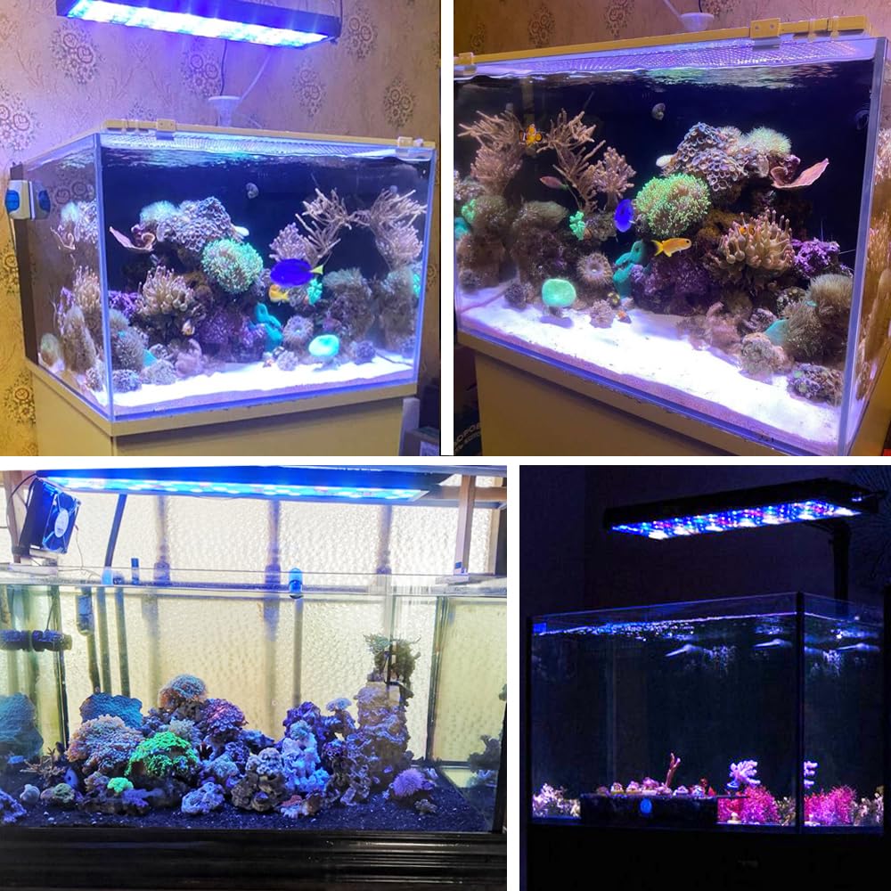 PopBloom Hertz54 WiFi eclairage led lampe aquarium led recifal reef aquarium eau de mer lumière pour 50-80cm (54cm, avec kit de suspension)
