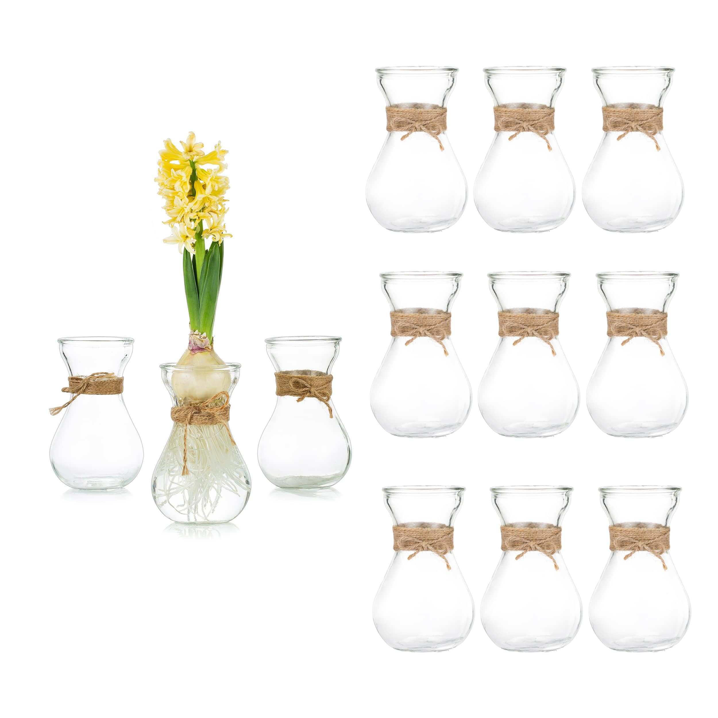 Glasseam Clear Glass Vase, Set of 3