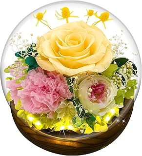 LUYITOM Preserved Real Rose Gifts for Women, Eternal Rose in Glass Dome with LED Strip, Handmade Eternal Flower Gifts for Her Wife Grandma Girlfriend on Birthday Valentine Mother's Day Anniversary
