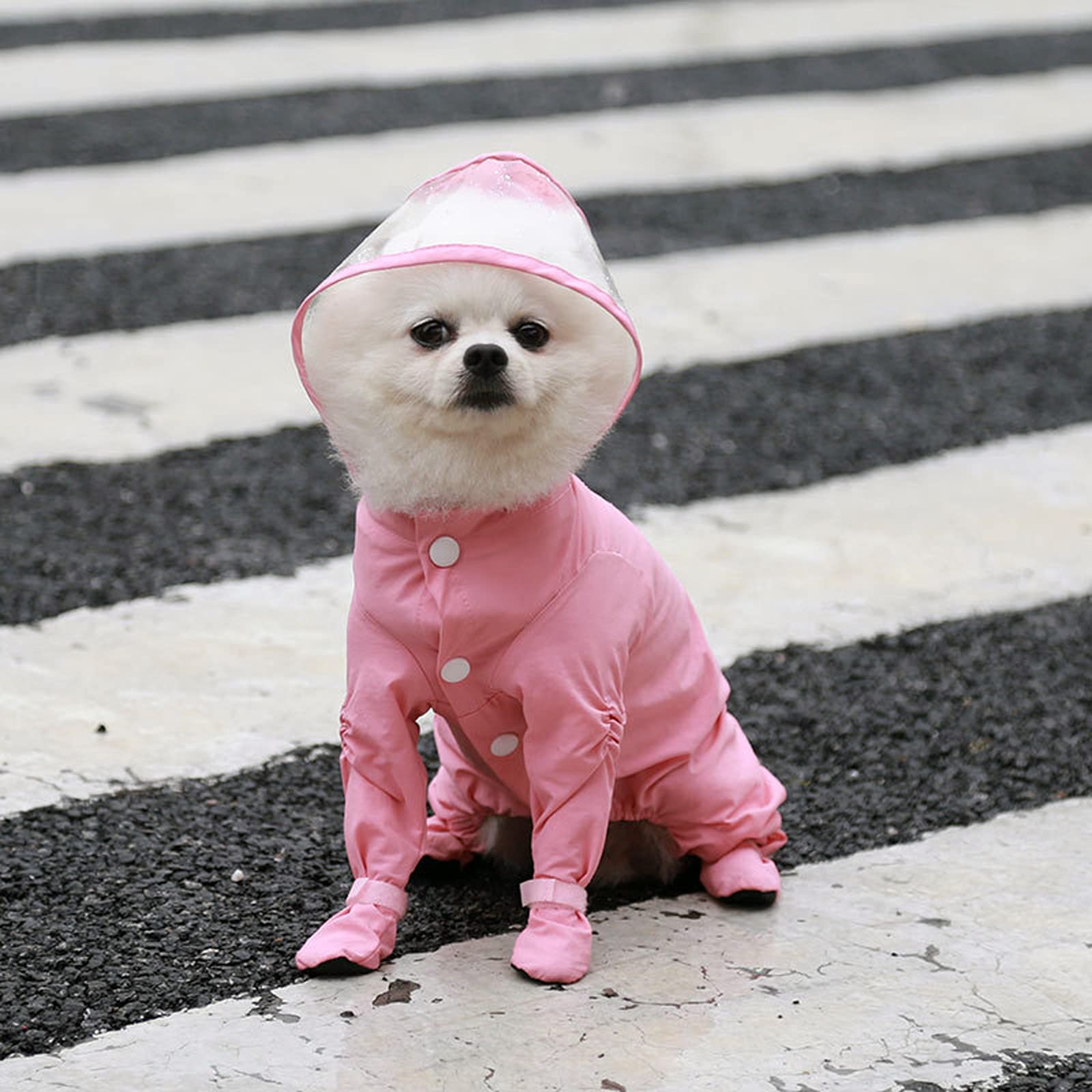 Imperméable pour Chien, Veste imperméable pour Chiots, imperméable à Capuche pour Petits Chiens, Bottes pour Tout Le Corps, Combinaison légère et Respirante, Poncho de Pluie (Pink S)