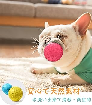 犬の歯ブラシ 噛むおもちゃゴム ボール 小中型犬 音が鳴る トレーニング Amazon | 犬おもちゃ 犬ボール 音が鳴る 丈夫 噛むおもちゃ