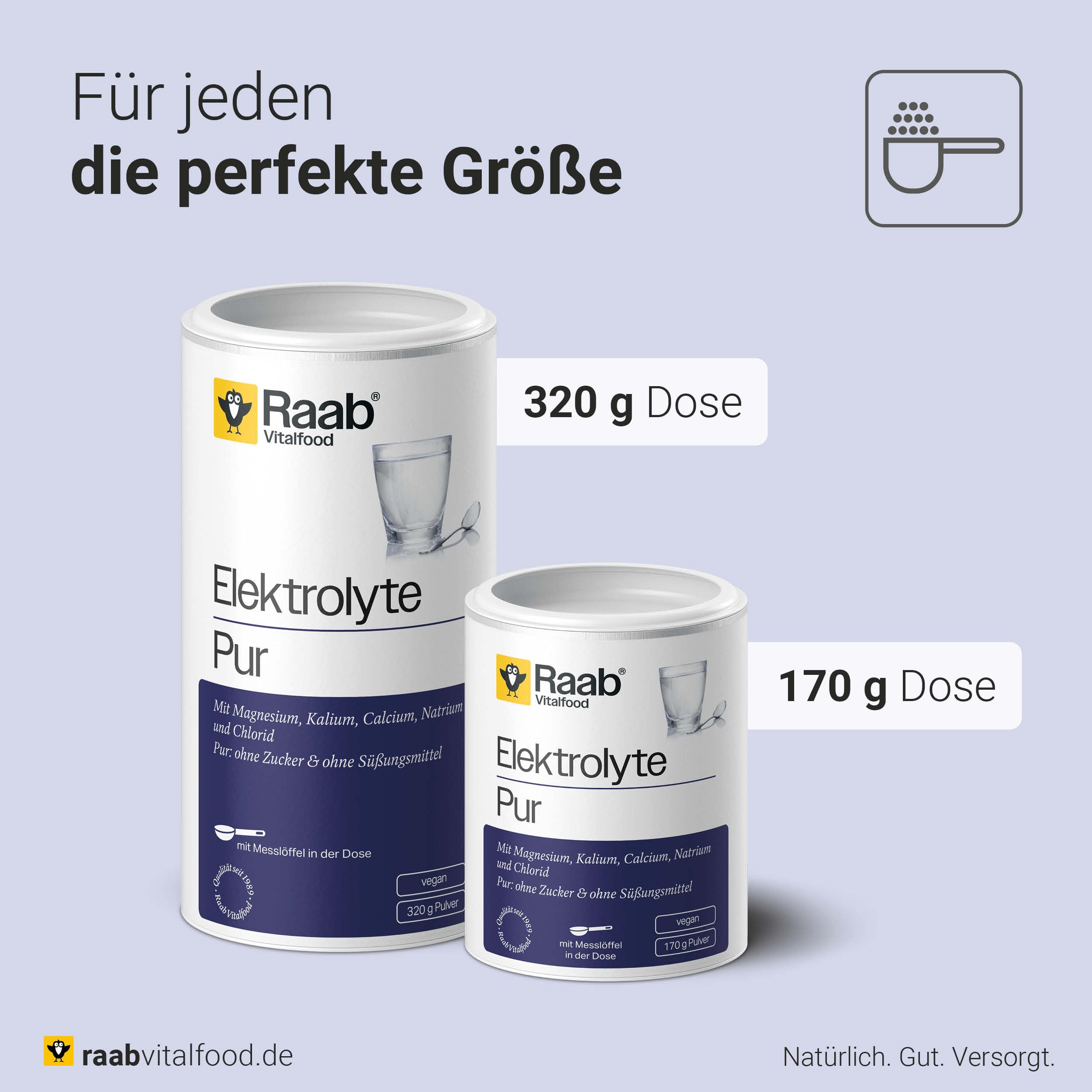 Raab Vitalfood Electrolitos Pur (170 g) - Electrolitos sin azúcar y sin edulcorantes, perfecto para deportistas en caso de pérdida de líquidos, vegano, con cuchara medidora, para músculos, nervios