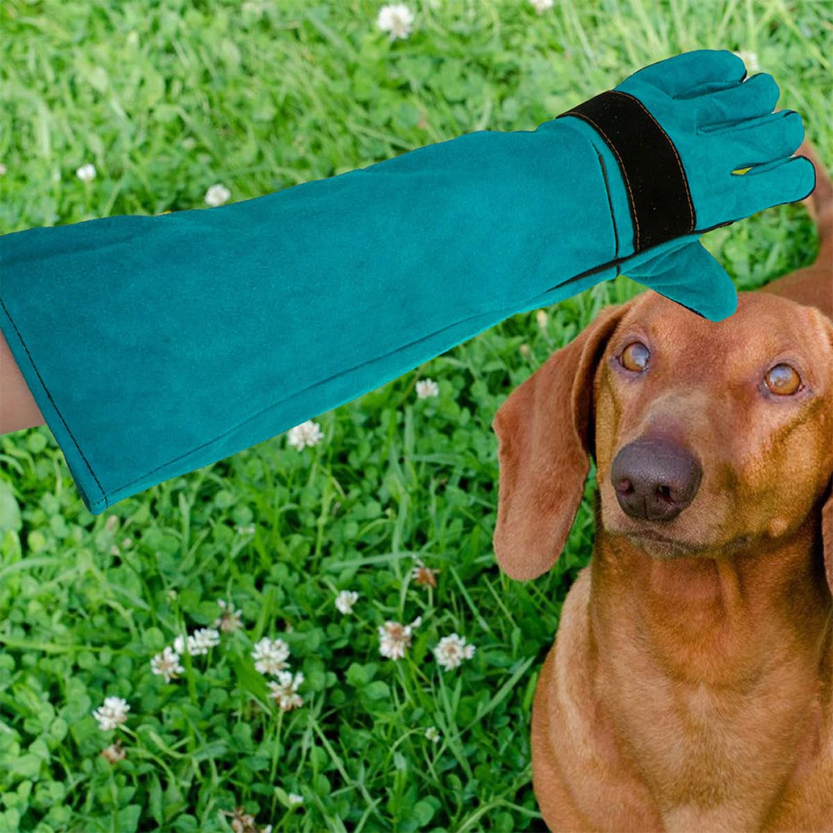 Luxshiny Moufles Anti-Morsure pour Chat et Chien en Faux Cuir, 1 Paire