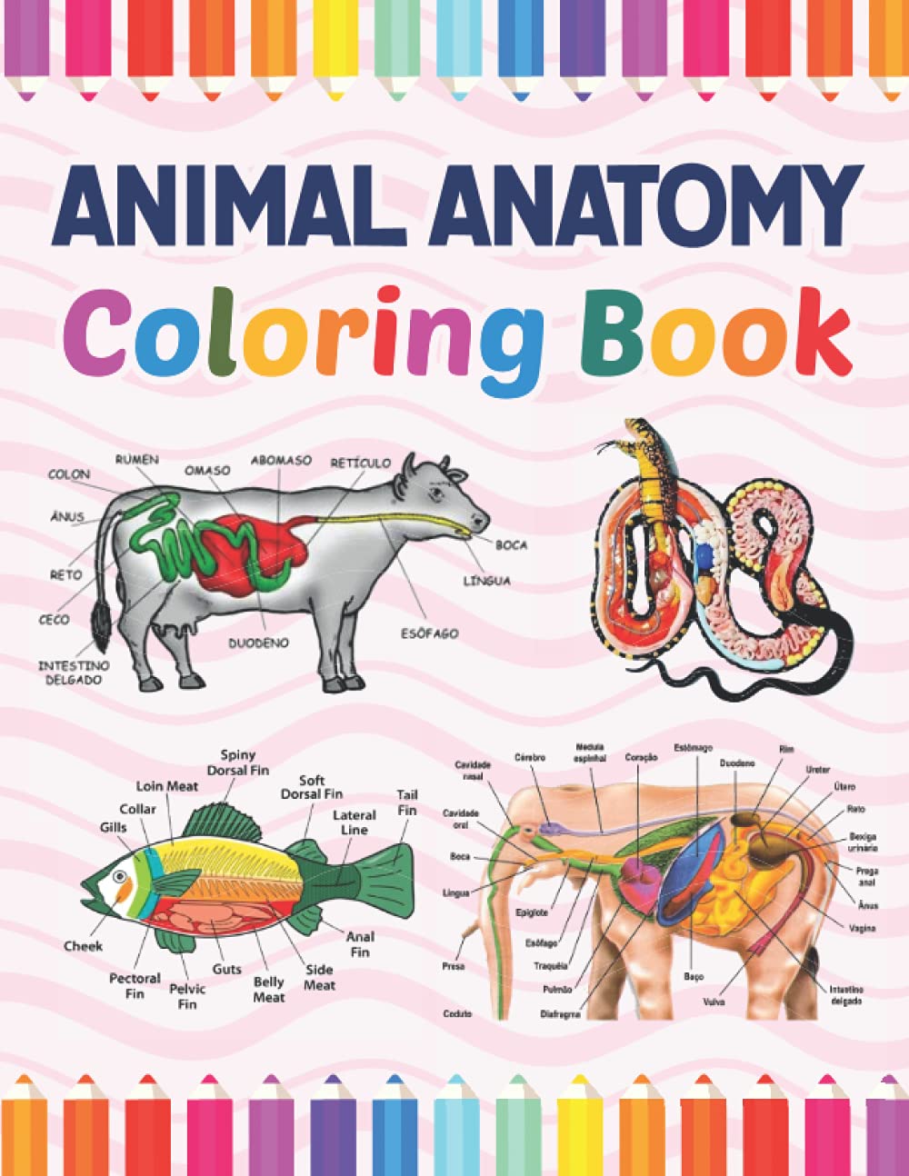 Animal visual data 8