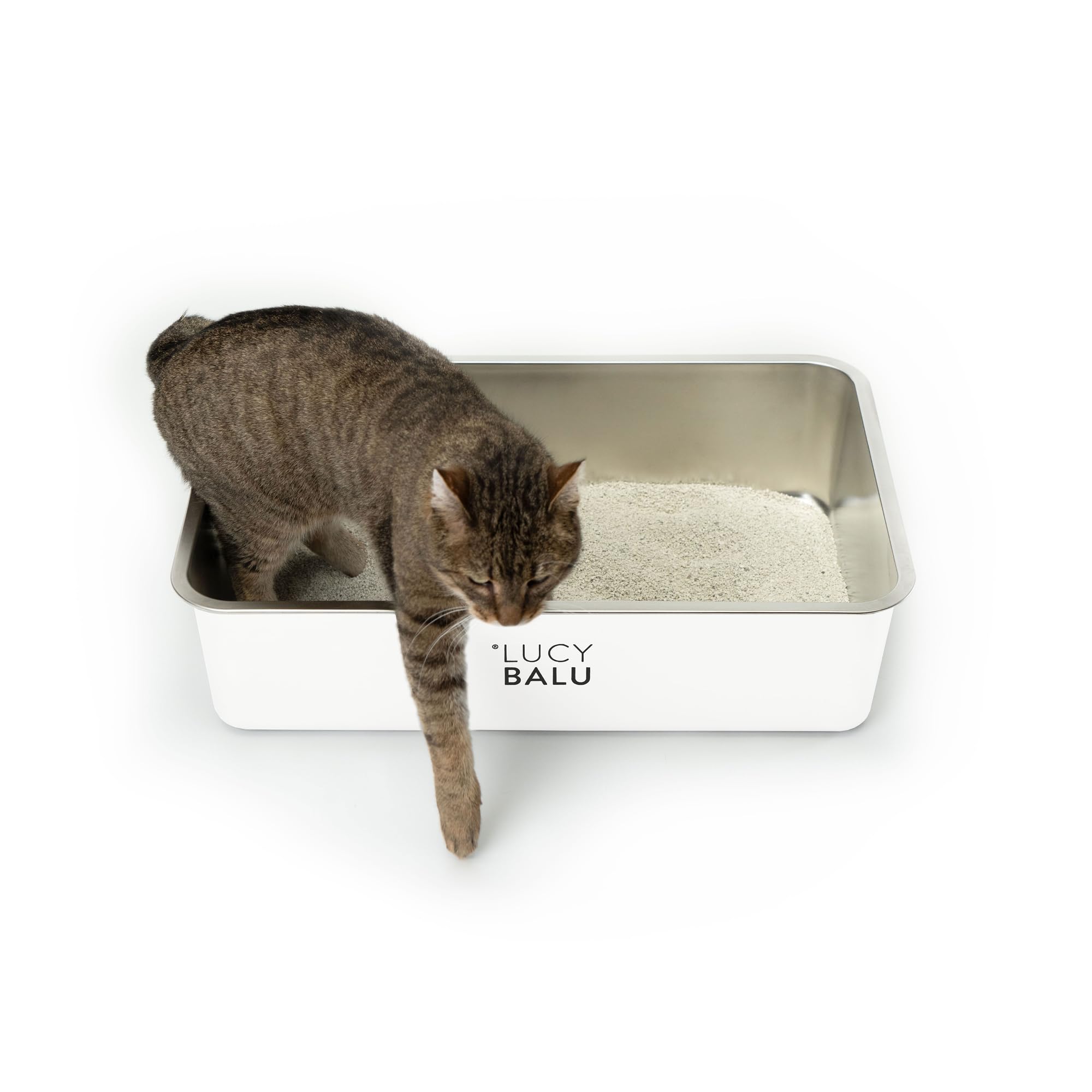 LucyBalu® STEELOO Katzenklo aus Edelstahl I XXL Katzentoilette ohne Deckel mit hop-in Oben-Einstieg I hygienisch, geruchsfrei & leicht zu reinigen I 59,5 × 39,5 × 15,5 cm I Weiß