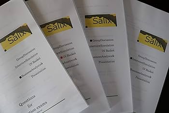■2冊セット■楽してHA研修に合格したい方■Salix昇進昇格試験対策プレゼン編 □2冊セット□楽してHA研修に合格したい方□Salix昇進