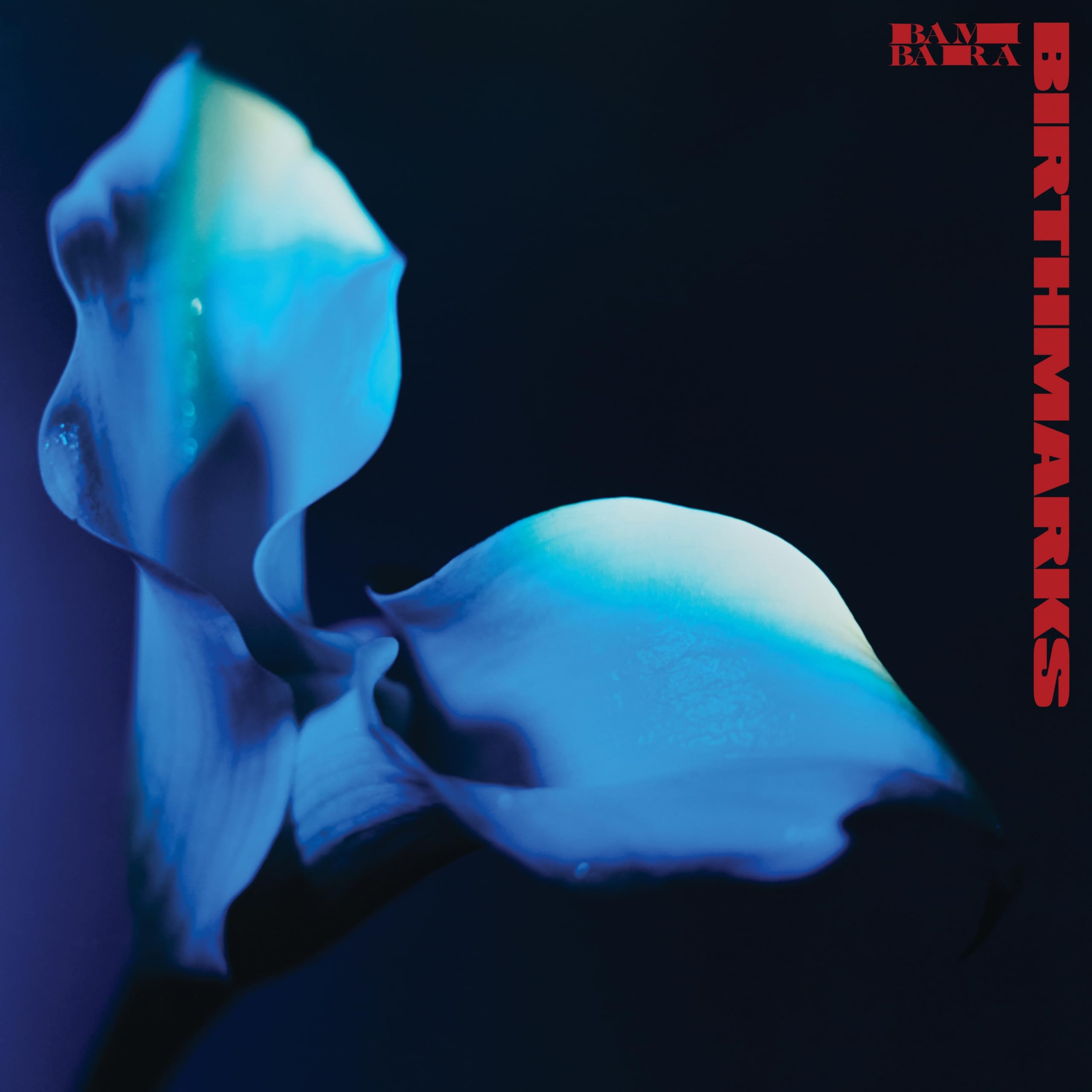 Vinile Bambara - Birthmarks (Red Vinyl + Poster) [Vinyl LP] [VINYL]