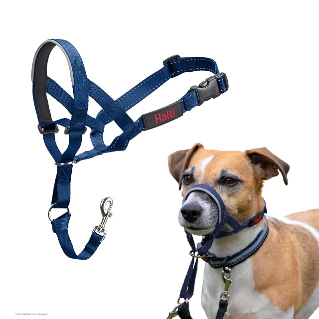 Collar Ronzal Halti - Tamaño 1, Azul Cobalto