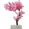 Product Photo 8