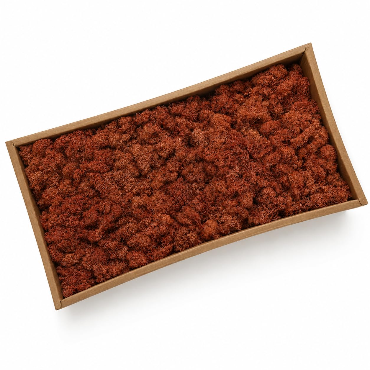 ZenceWell Preserved Reindeer Moss 500g for Crafts and Décor, Khaki