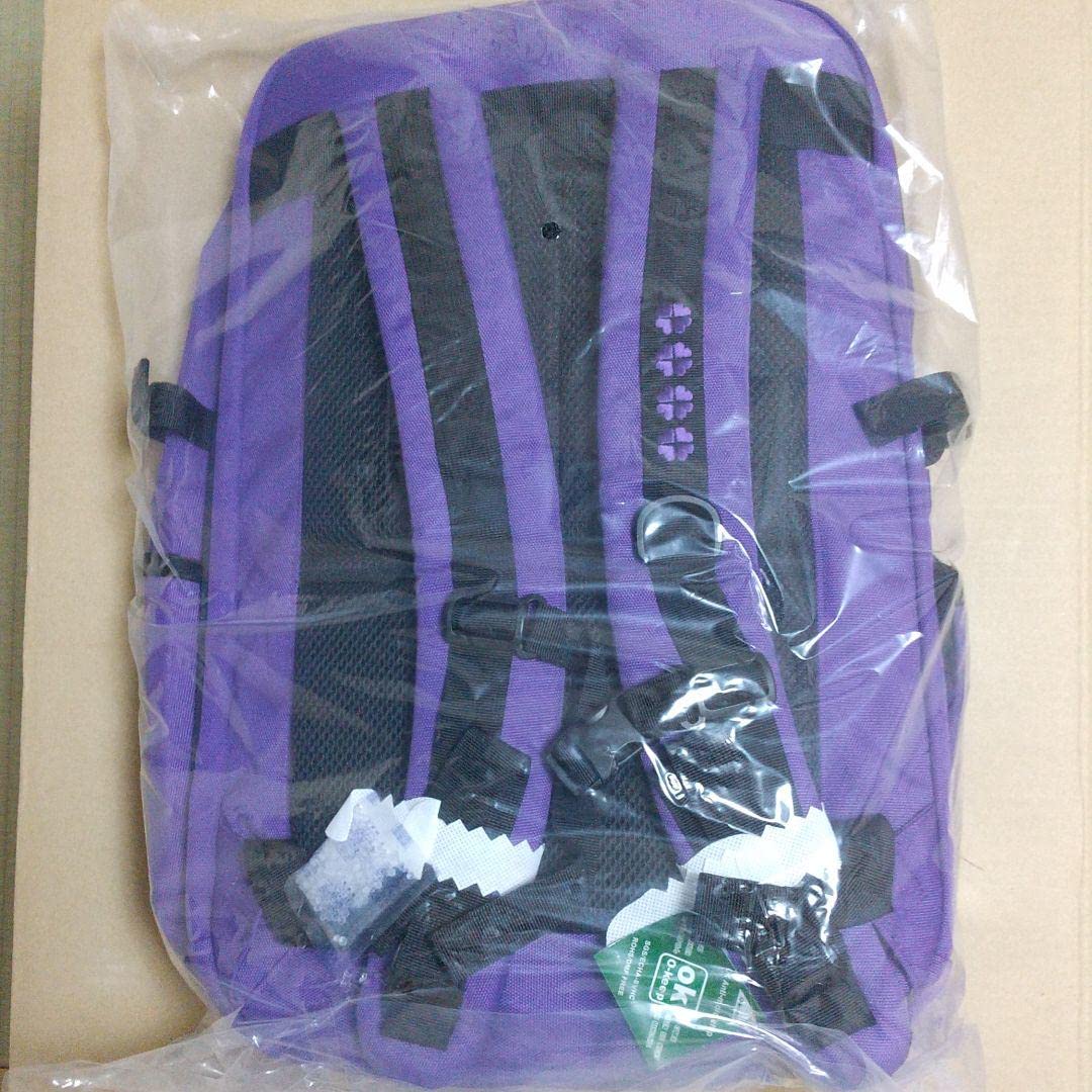 Amazon.co.jp: チャムス CHUMS ももクロ アルティメットリュック 